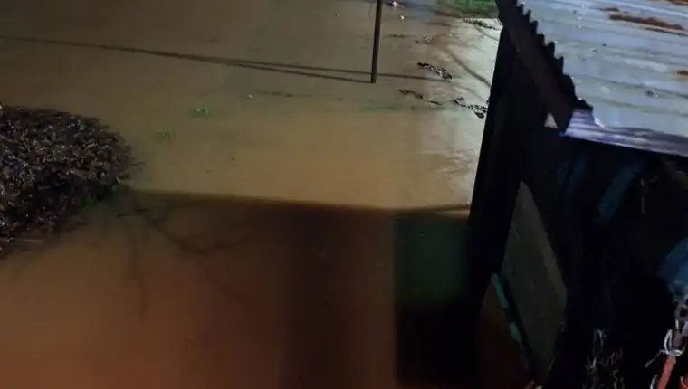 608161592 1448965593901244 3215819677101436598 n