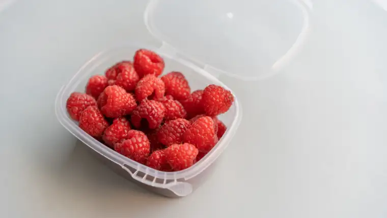 Maline freepik