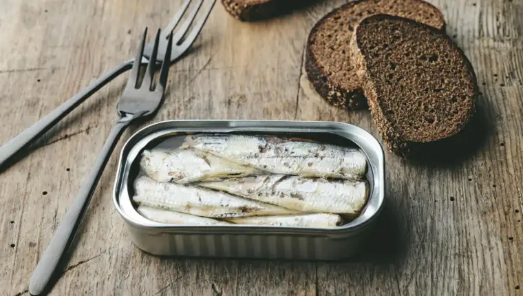sardine freepik