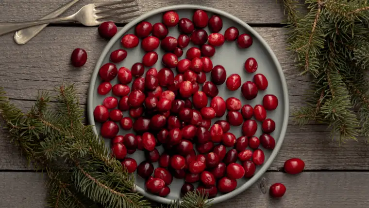 brusnice freepik