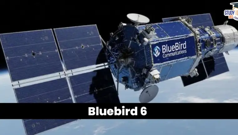 Blue Bird 6