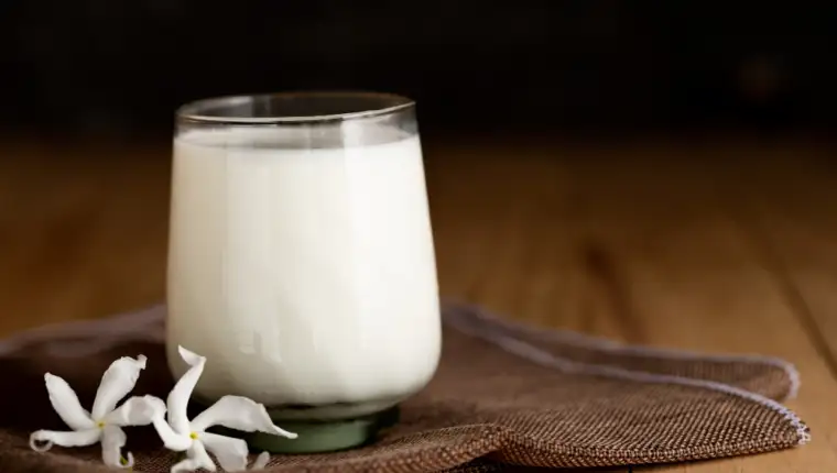 Kefir freepik