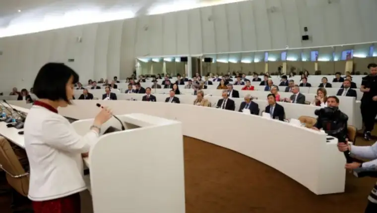 Ambasadorica Kine parlament