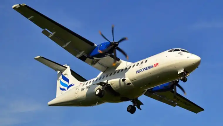 Indonesia air transport45