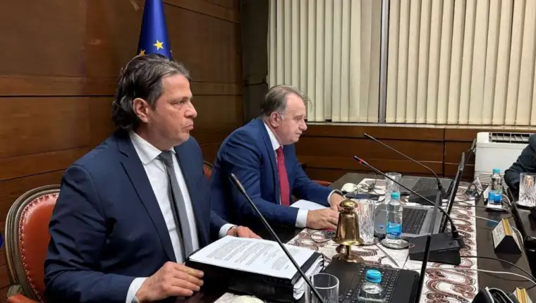 Vlada fbih fena