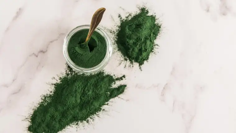 Spirulina freepik