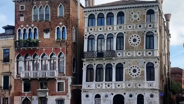 Palaca dario