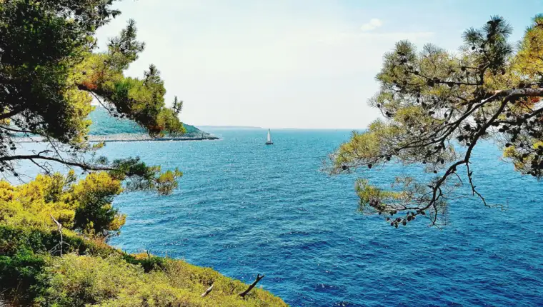 Jadran freepik