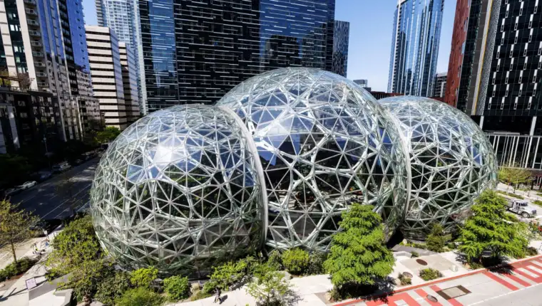 Amazon