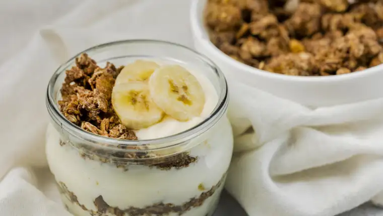 Panna cota joghurt 1