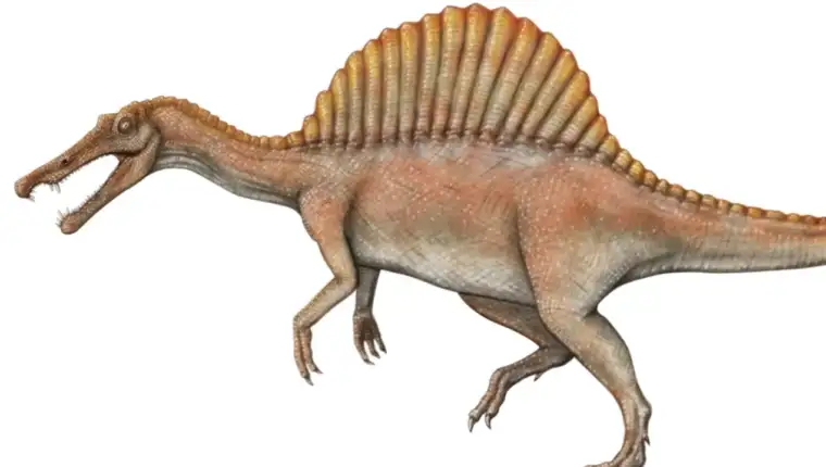 Spinosaurus