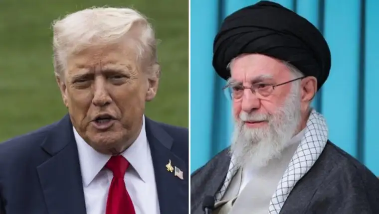 Trump hamnei