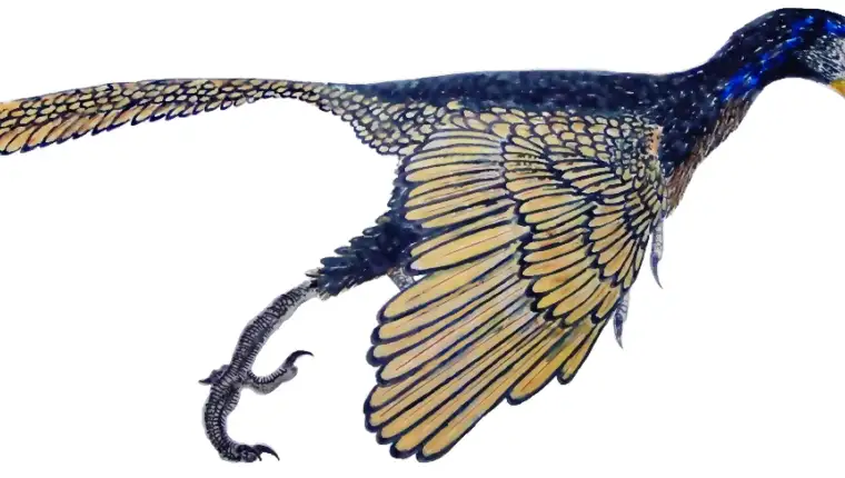 Arheopteriks