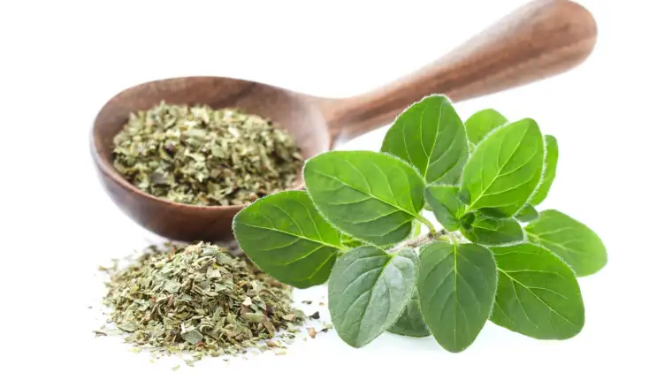 Origano freepik