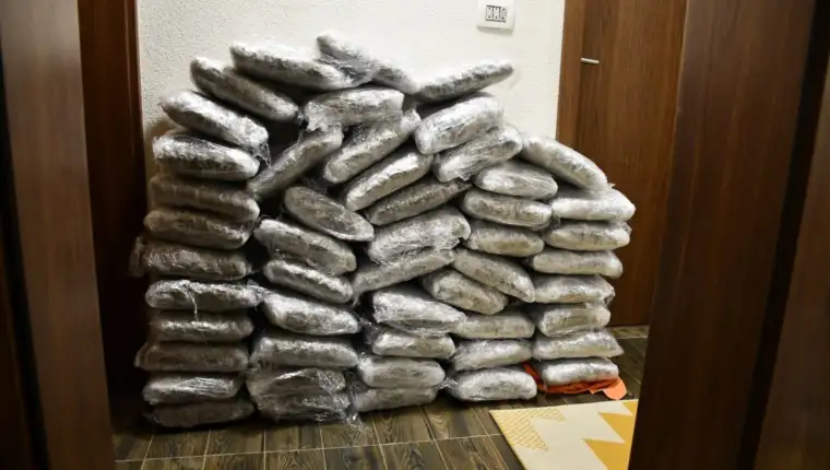 Droga 1