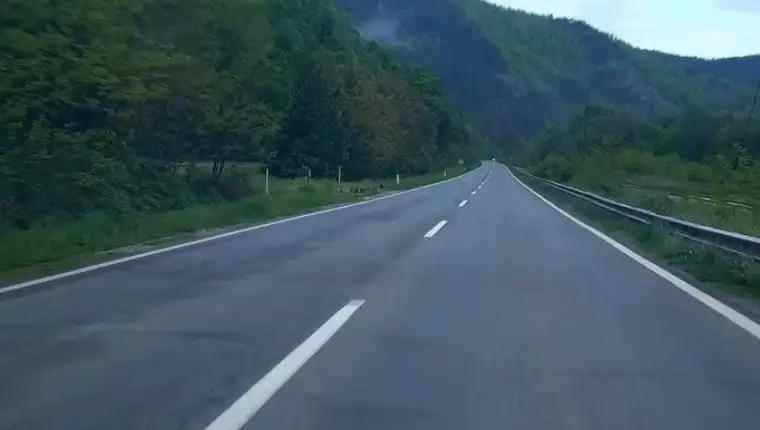 Nemila zepce