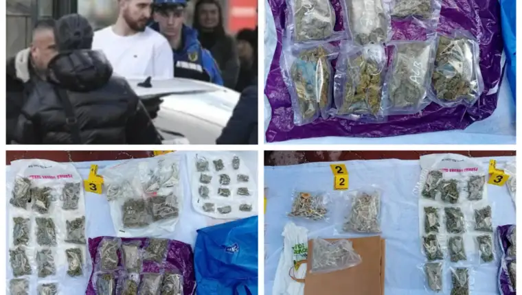 Mladic droga19