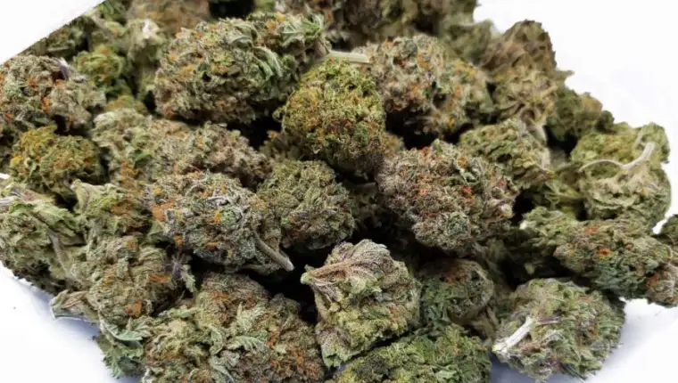 Marihuana 1