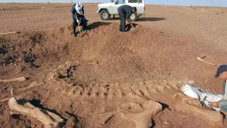 Spinosaurus mirabilis