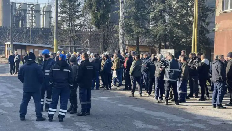 Koksara lukavac fena