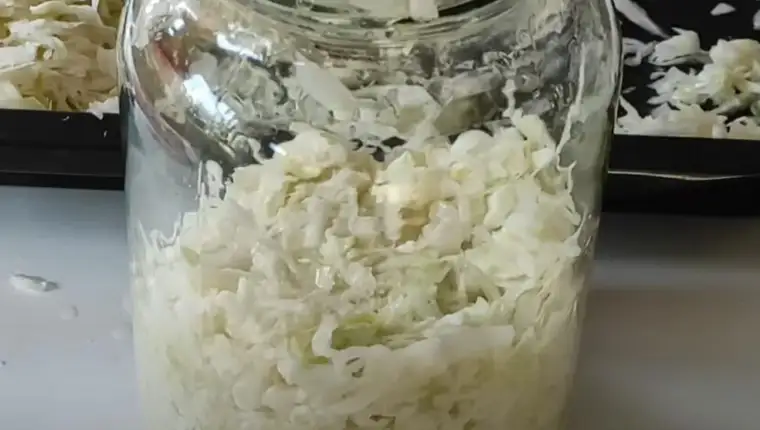 kiseli  kupus yt