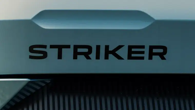 Striker
