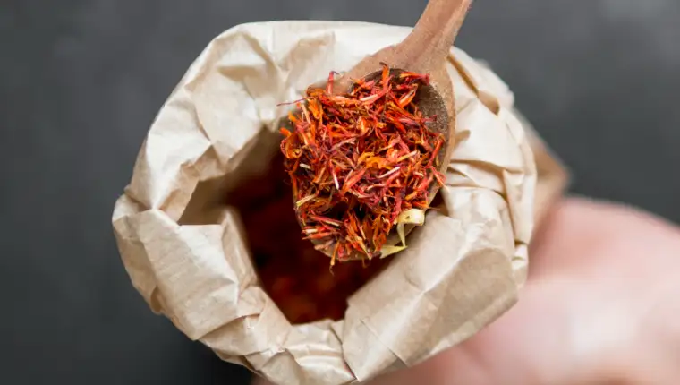 Rooibos freepik