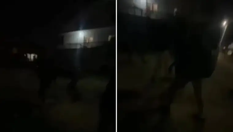 Napad teravija