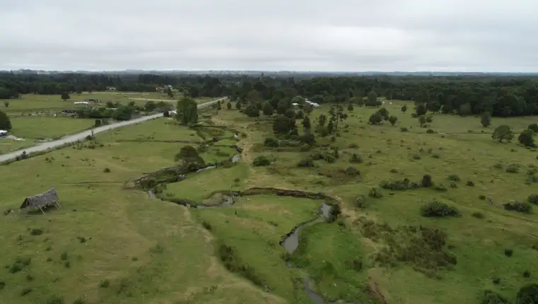 Monte Verde