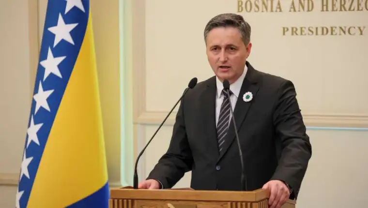 Becirovic fena