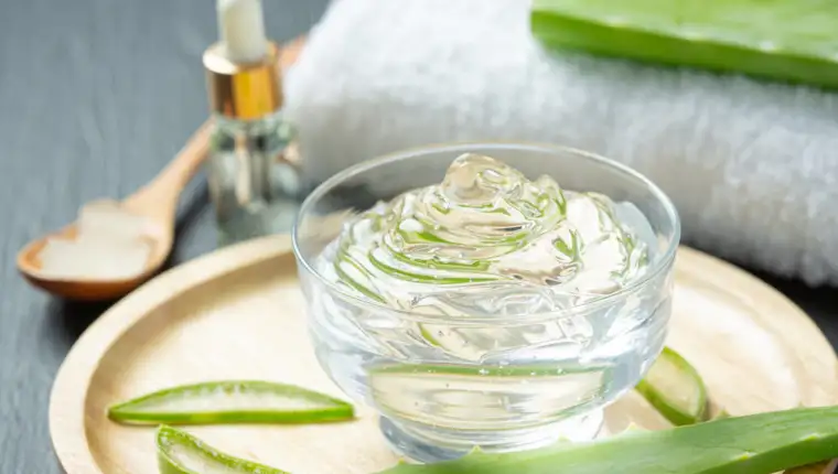 Aloe vera freepik