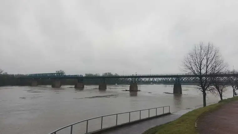 Sava