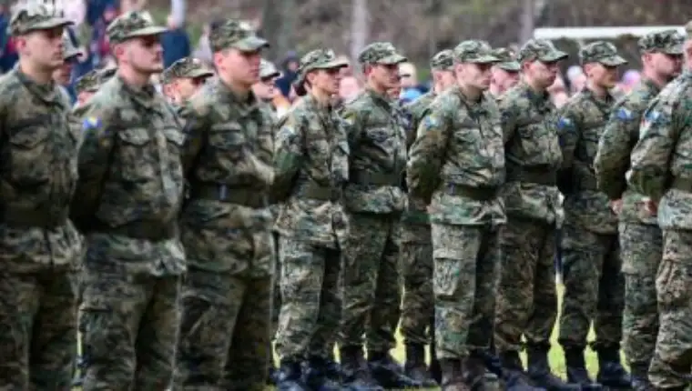 Oruzane snage bih