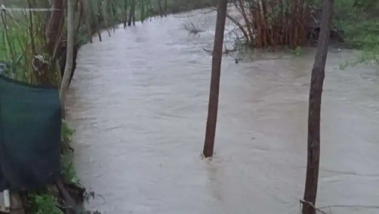 Poplave 4