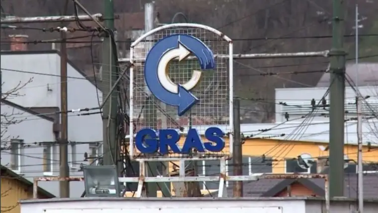 Gras 6