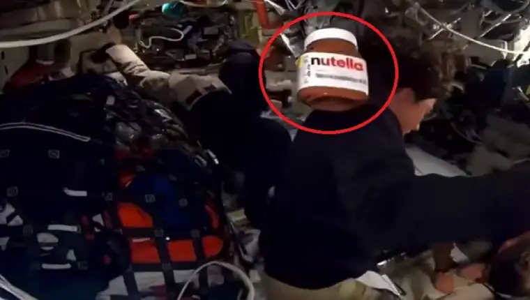 Nutella artemis1