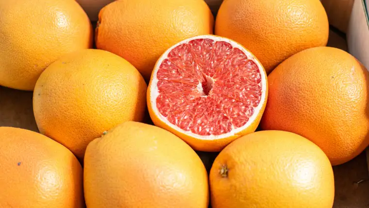 grejpfrut freepik