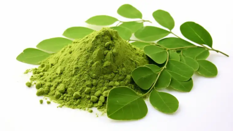 Moringa oleifera freepik