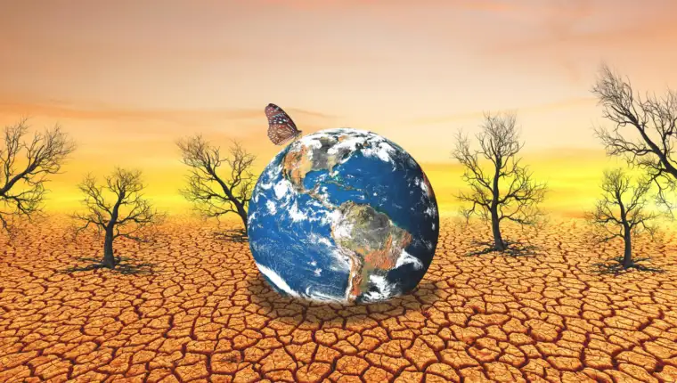 El nino freepik