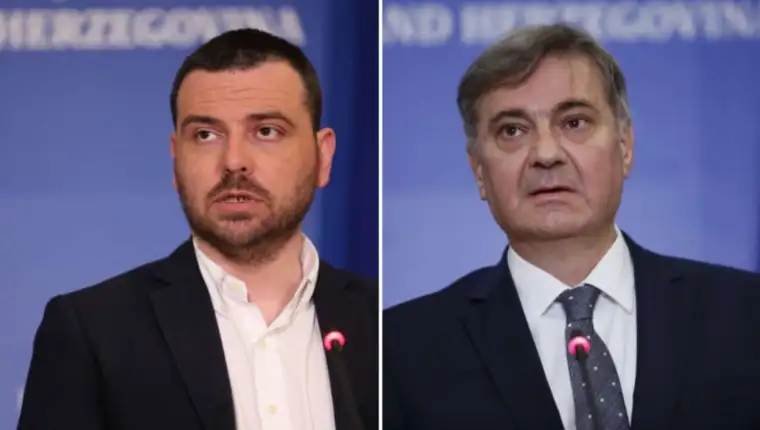 Magazinovic zvizdic fena