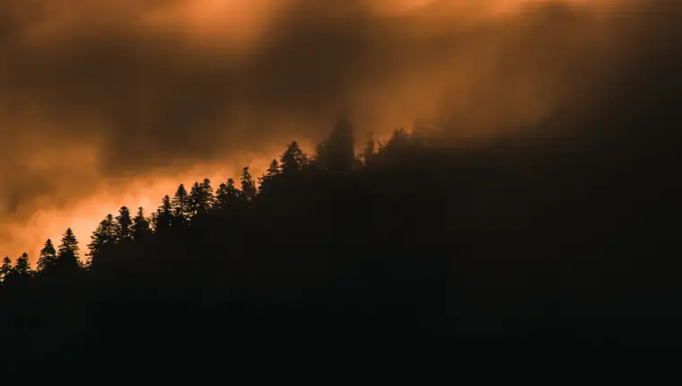 šumski požar freepik