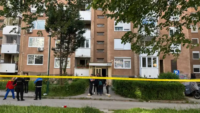 Pucnjava dobrinja raport