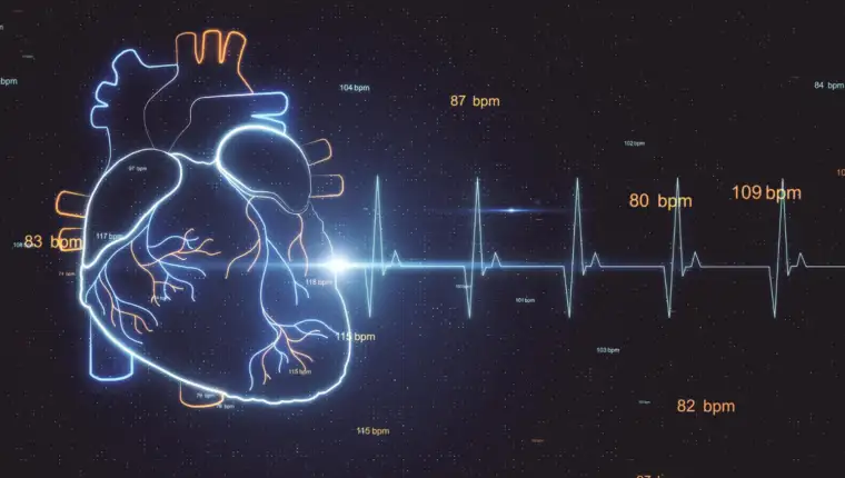 Puls freepik