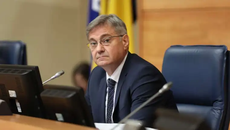Zvizdic fena
