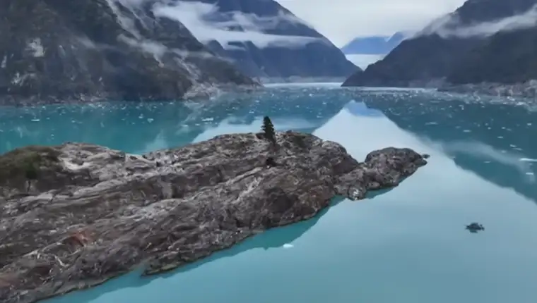 Fjord Tracy Arm