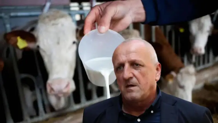 Bico mljekari