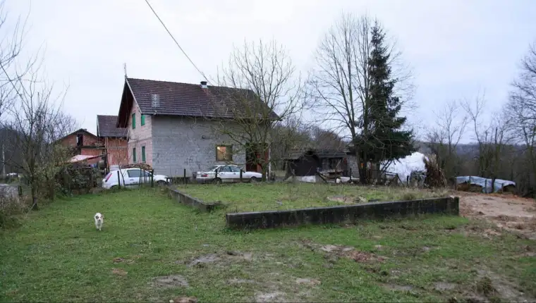Zecovi detektor