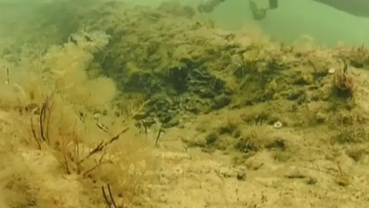 Doggerland