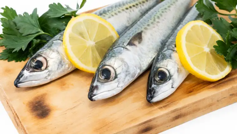 Sardine freepik