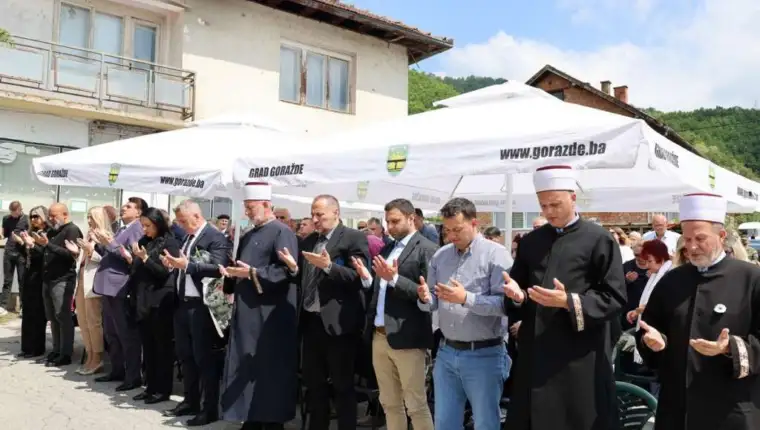 Lozje gorazde